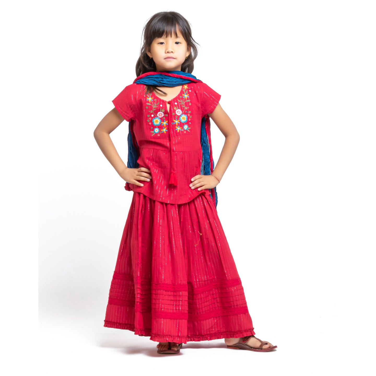 Red Embroidred Lehenga choli with dupatta