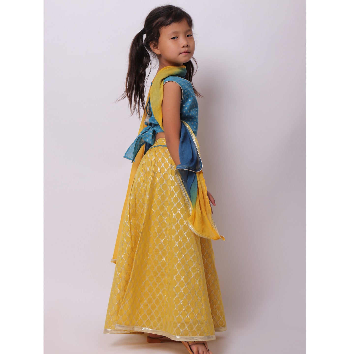 Banarasi Madhu Lehenga Blue- Yellow