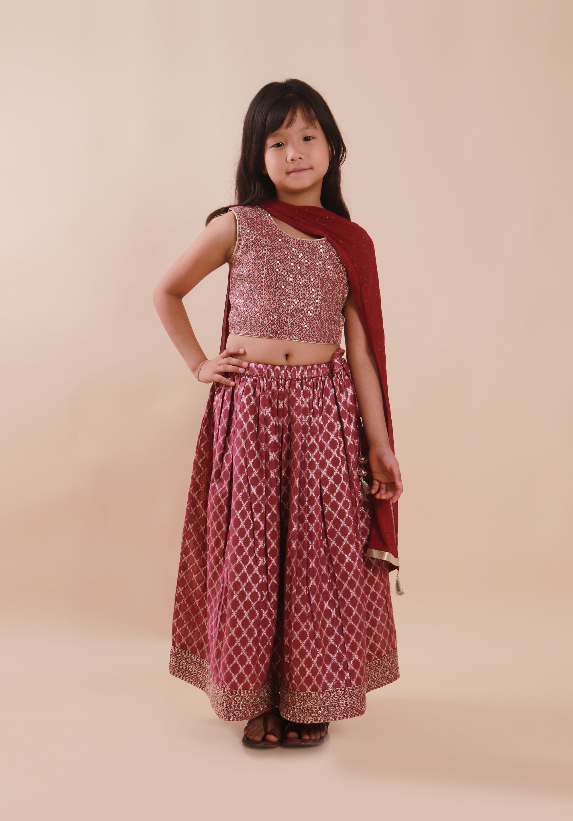 Banarasi Embroidreed Lehenga Set Purple