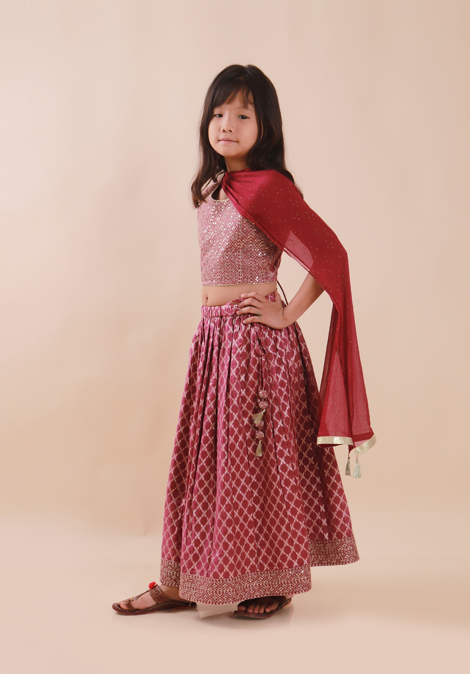 Banarasi Embroidreed Lehenga Set Purple