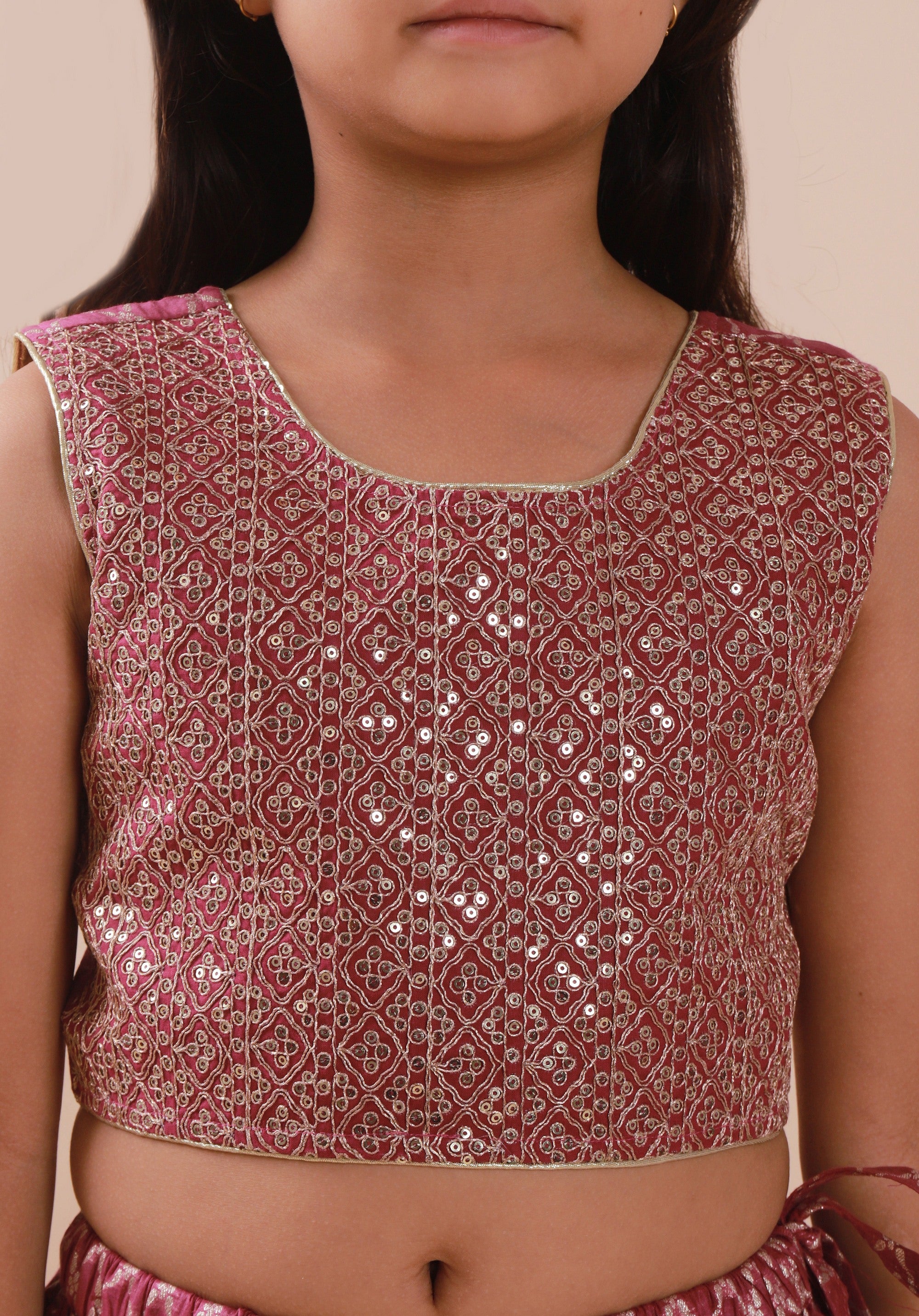 Banarasi Embroidreed Lehenga Set Purple