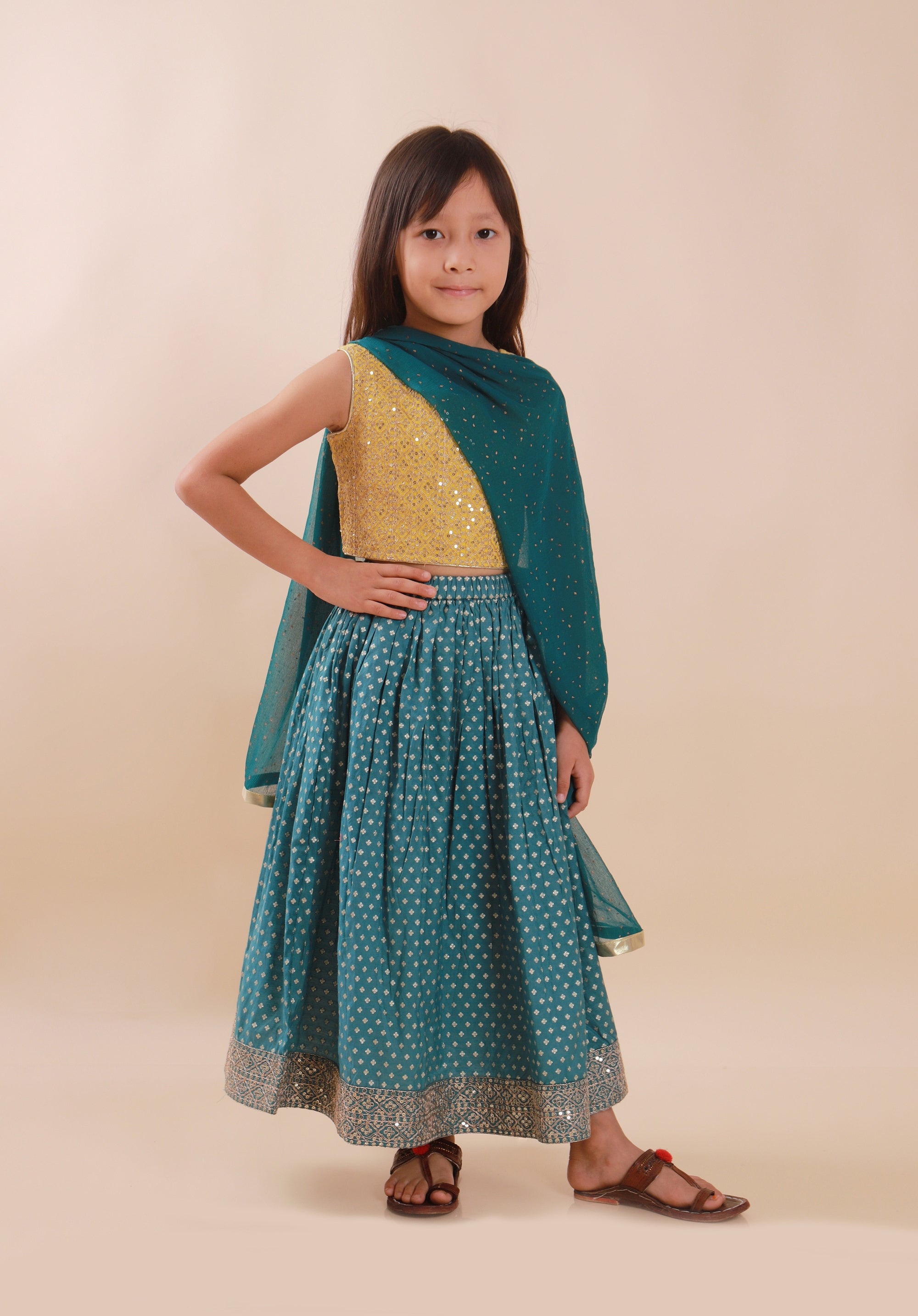 Banarasi Embroidreed Lehenga Set