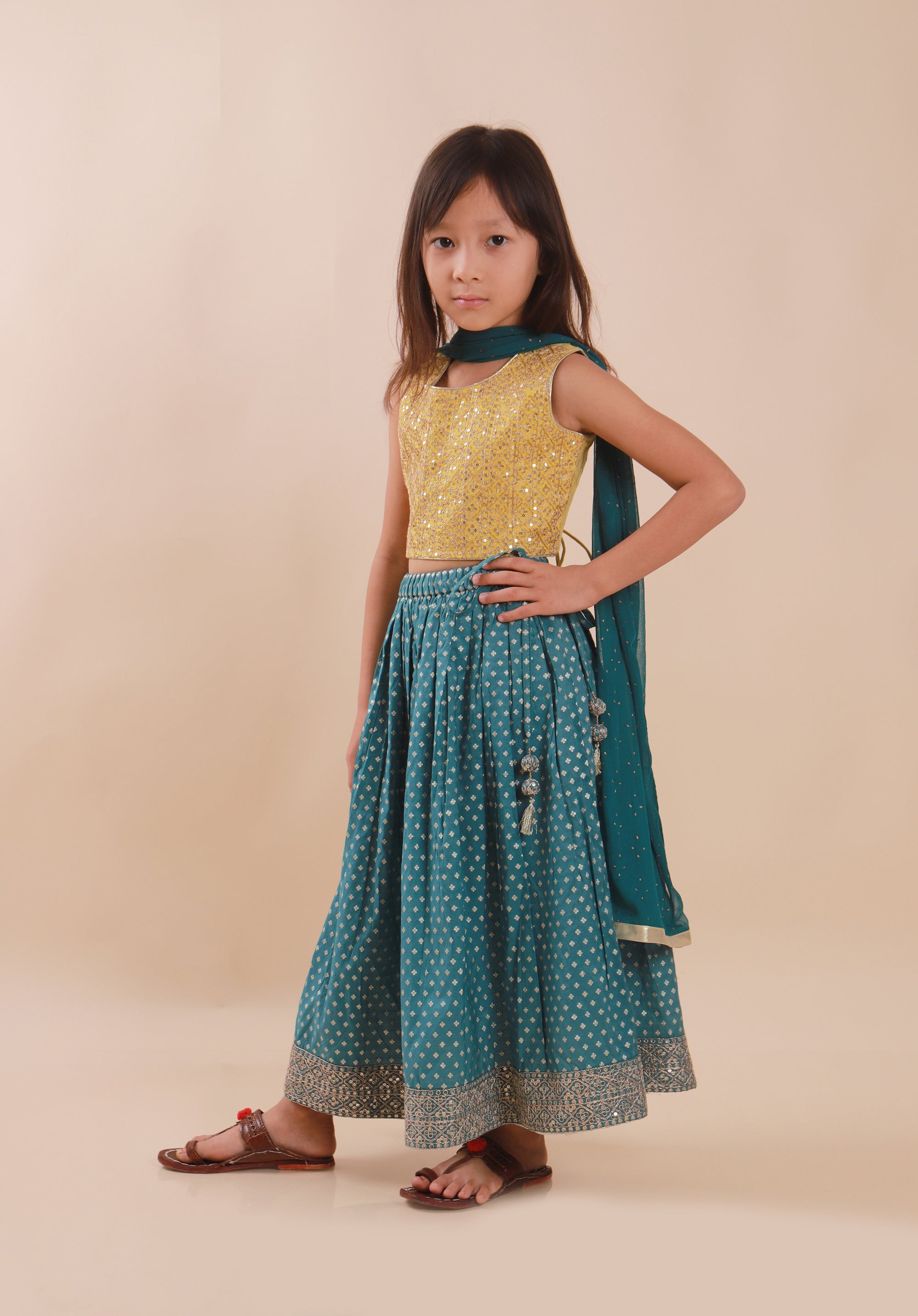 Banarasi Embroidreed Lehenga Set