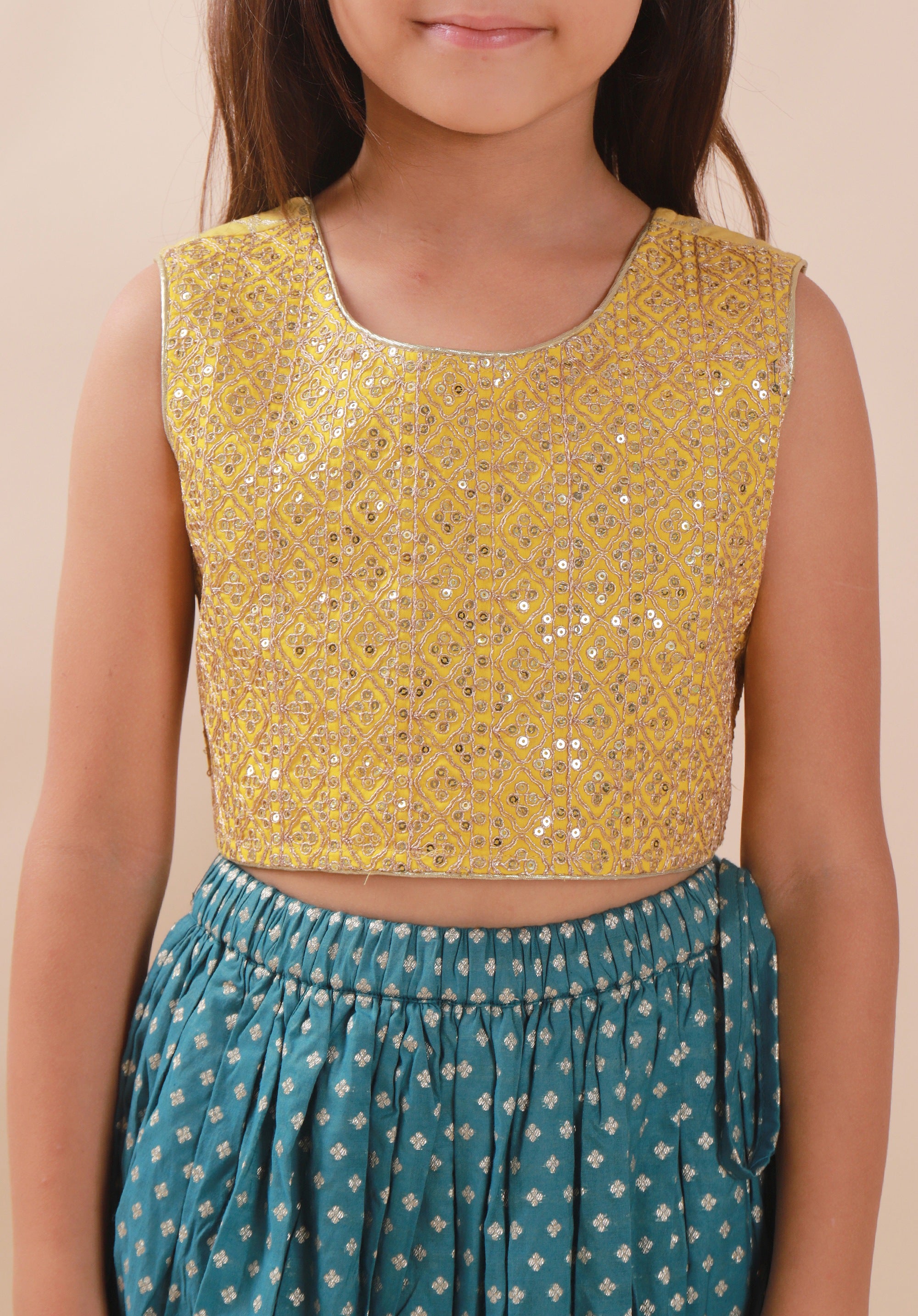 Banarasi Embroidreed Lehenga Set