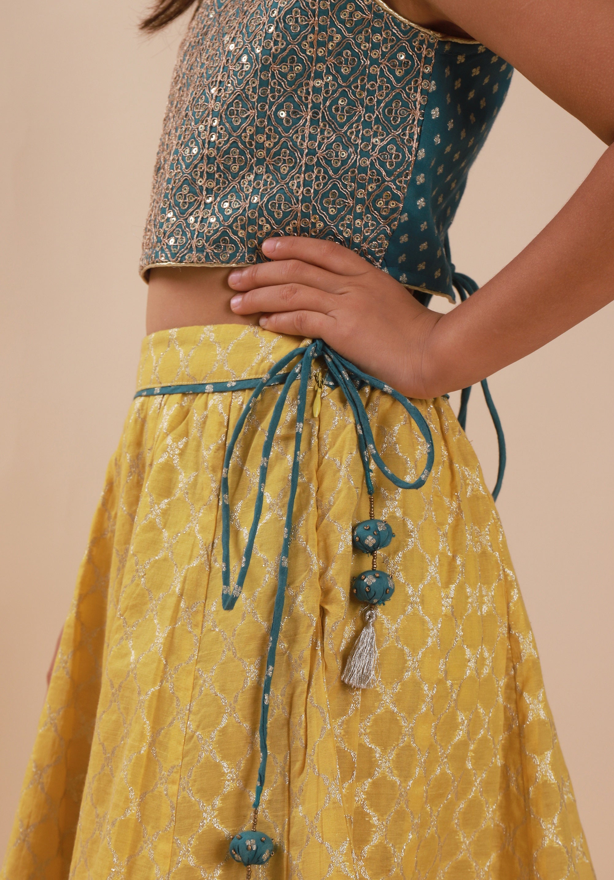 Banarasi Embroidreed Lehenga Set