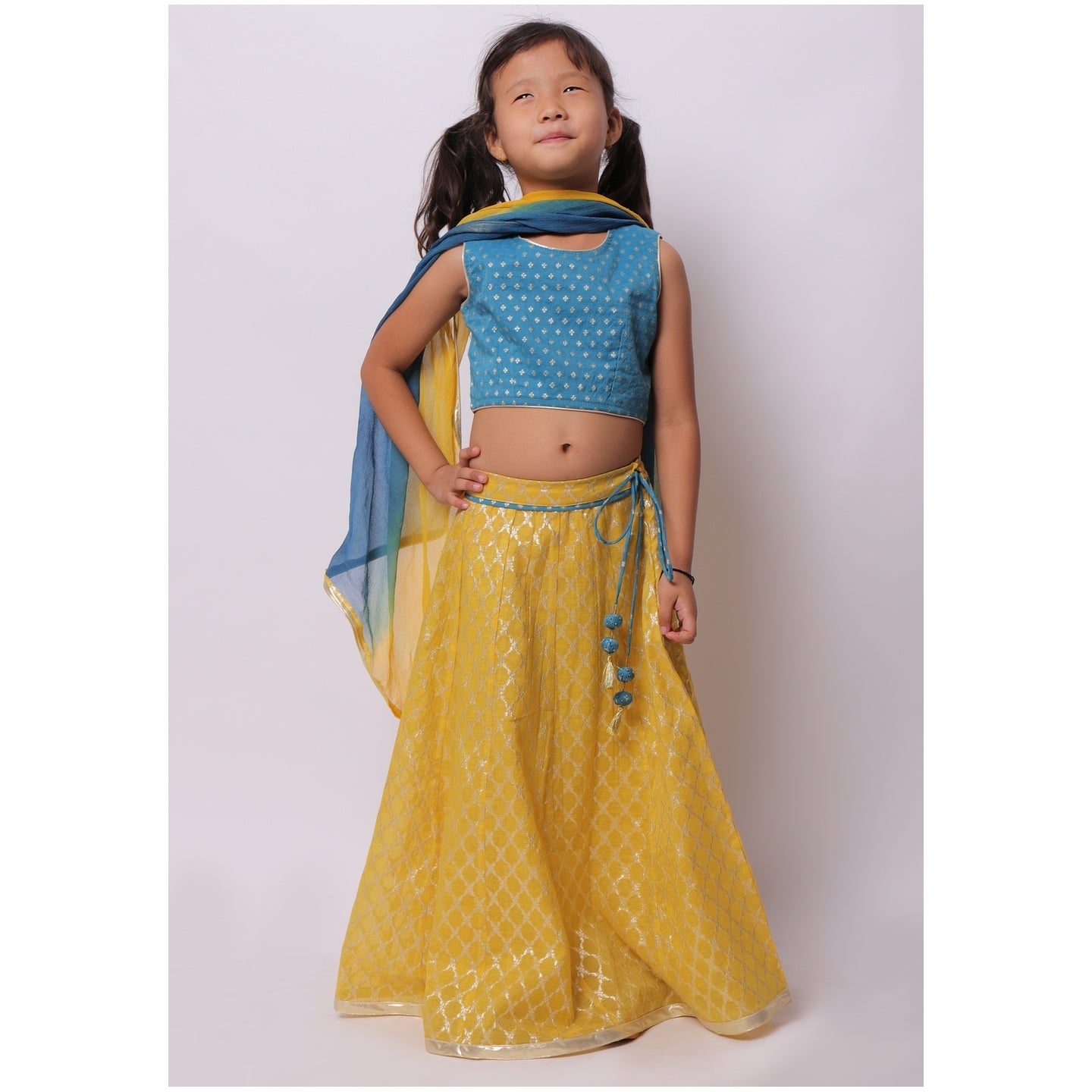 Banarasi Madhu Lehenga Blue- Yellow
