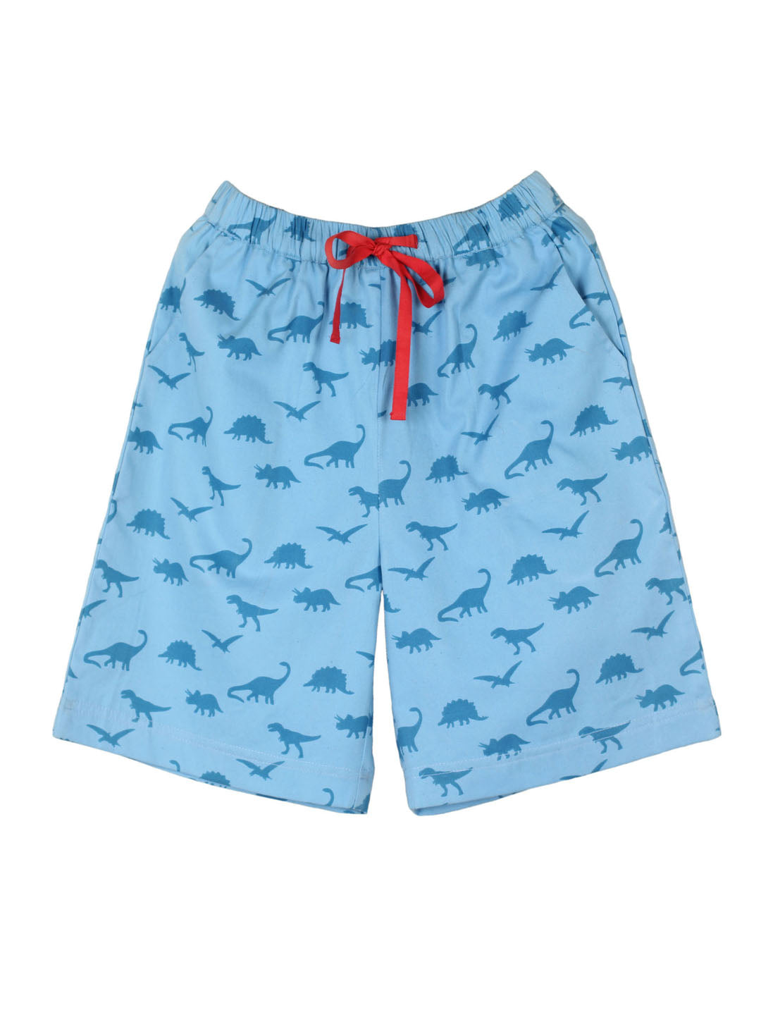 Boy's Block Printed Twill shorts Dino