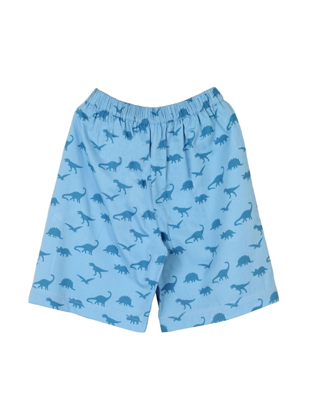 Boy's Block Printed Twill shorts Dino