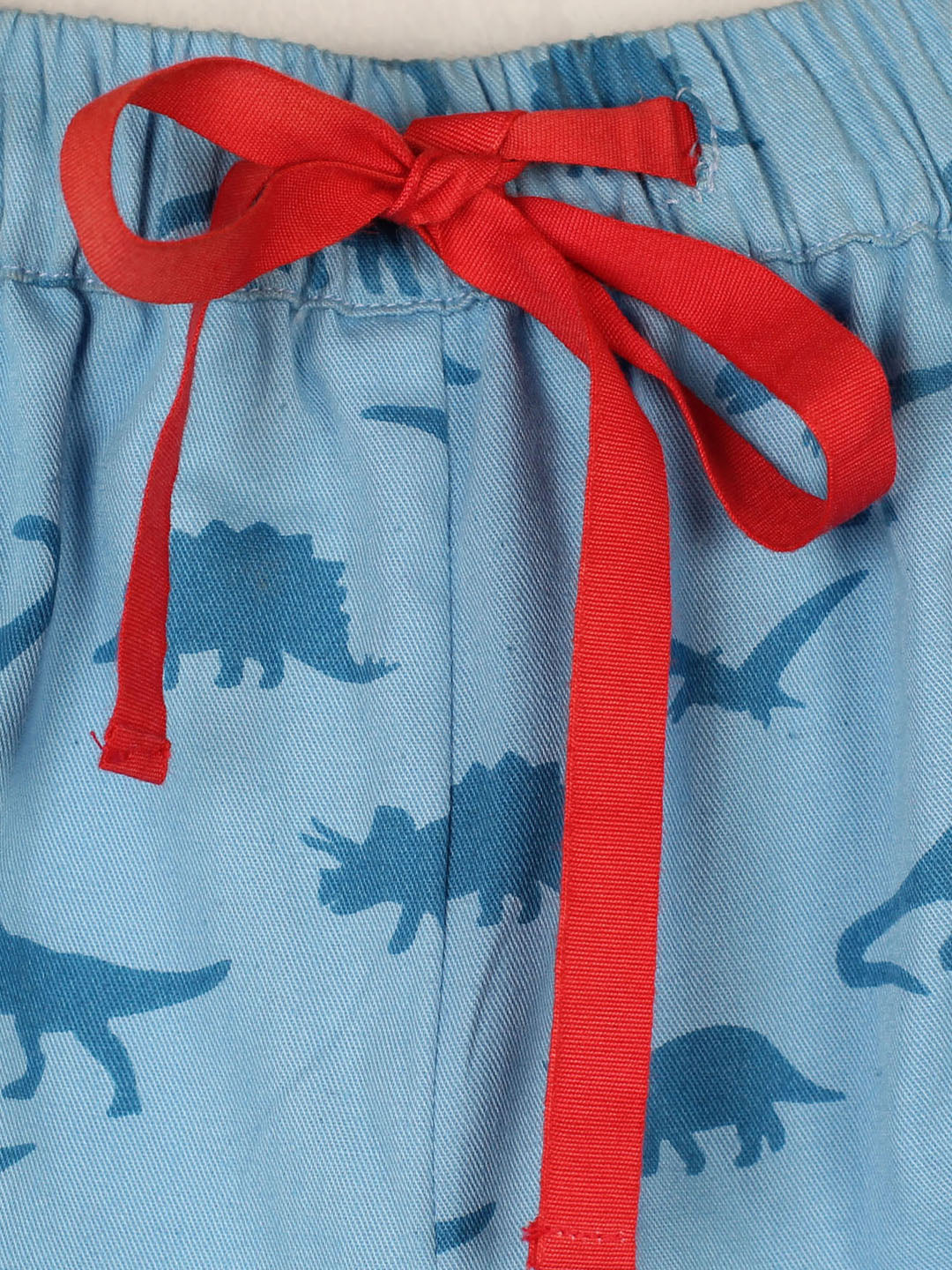 Boy's Block Printed Twill shorts Dino