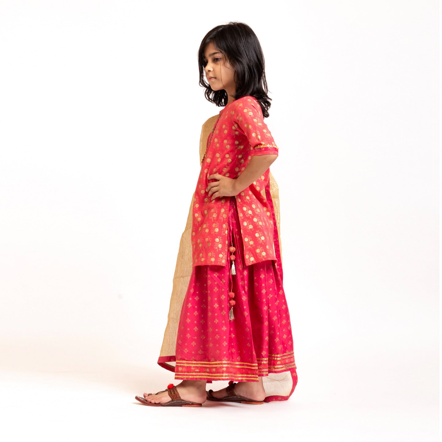 Girls Block Printed Lehenga Choli Set Pink
