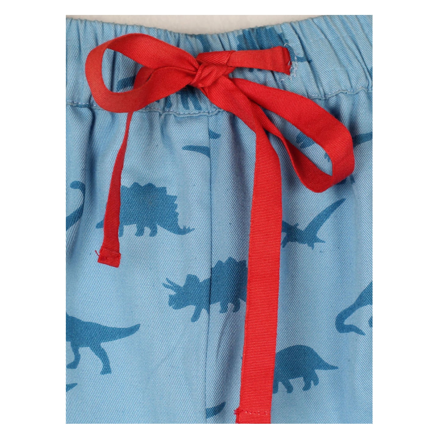 Dino Shiva Shorts