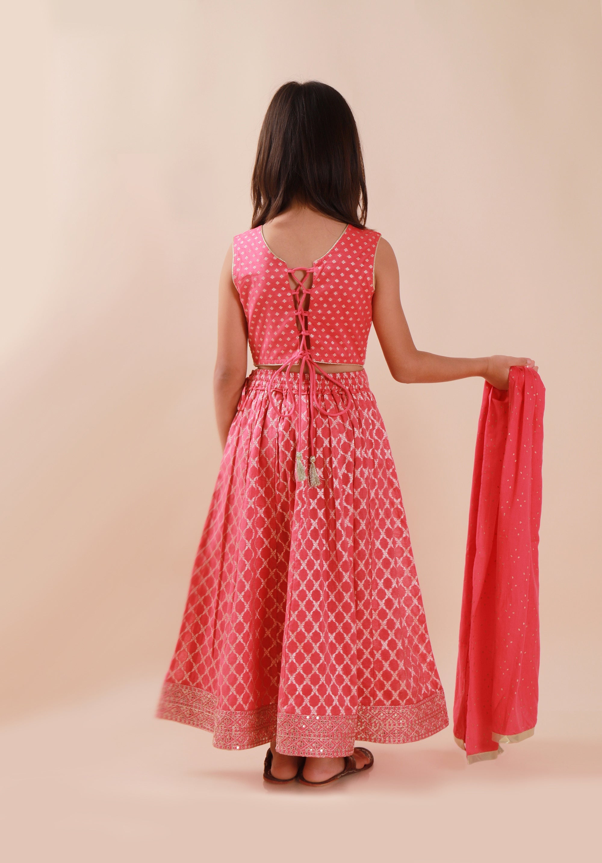 Banarasi Embroidreed Lehenga Set Pink