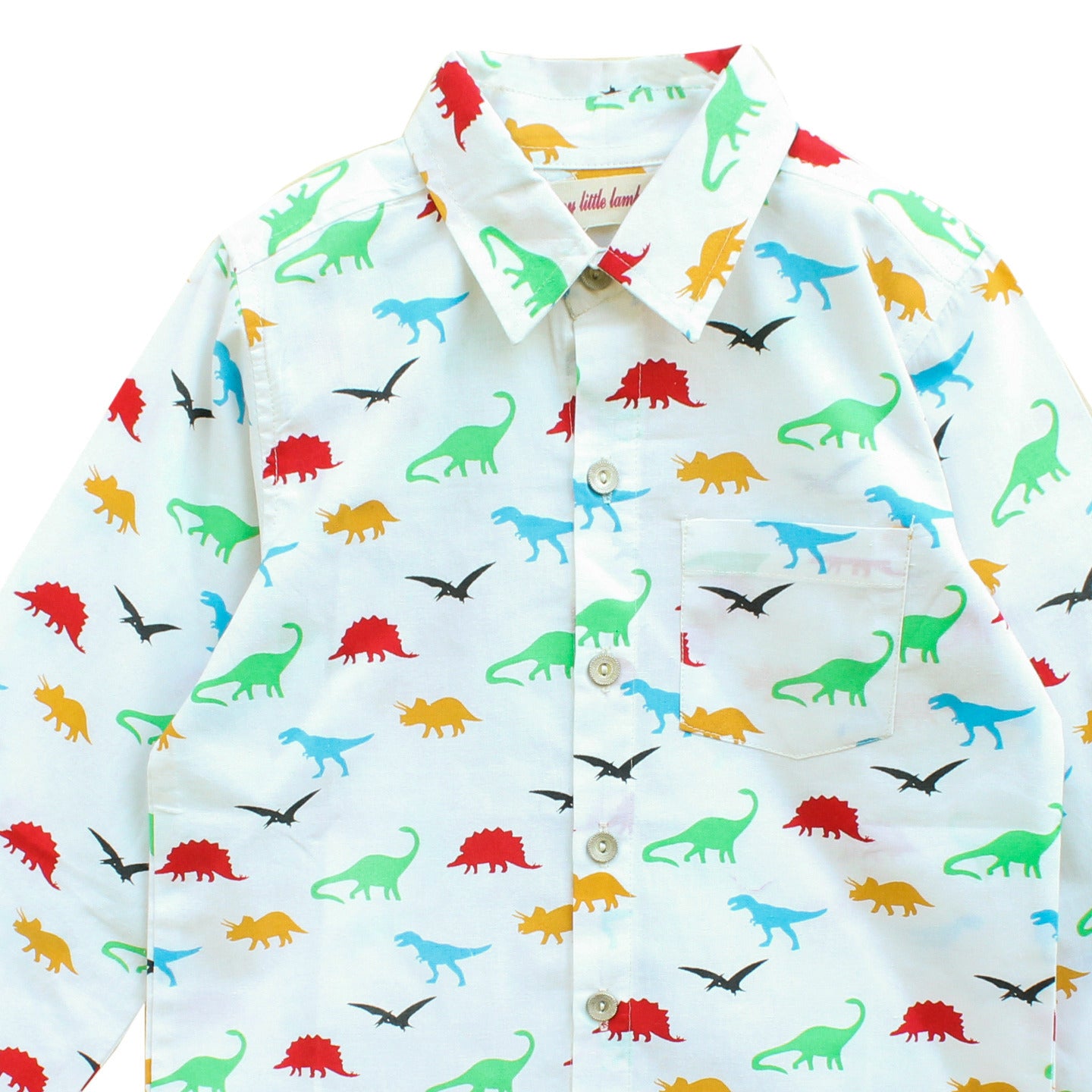 Printed Boy's Shirt Dino Multi