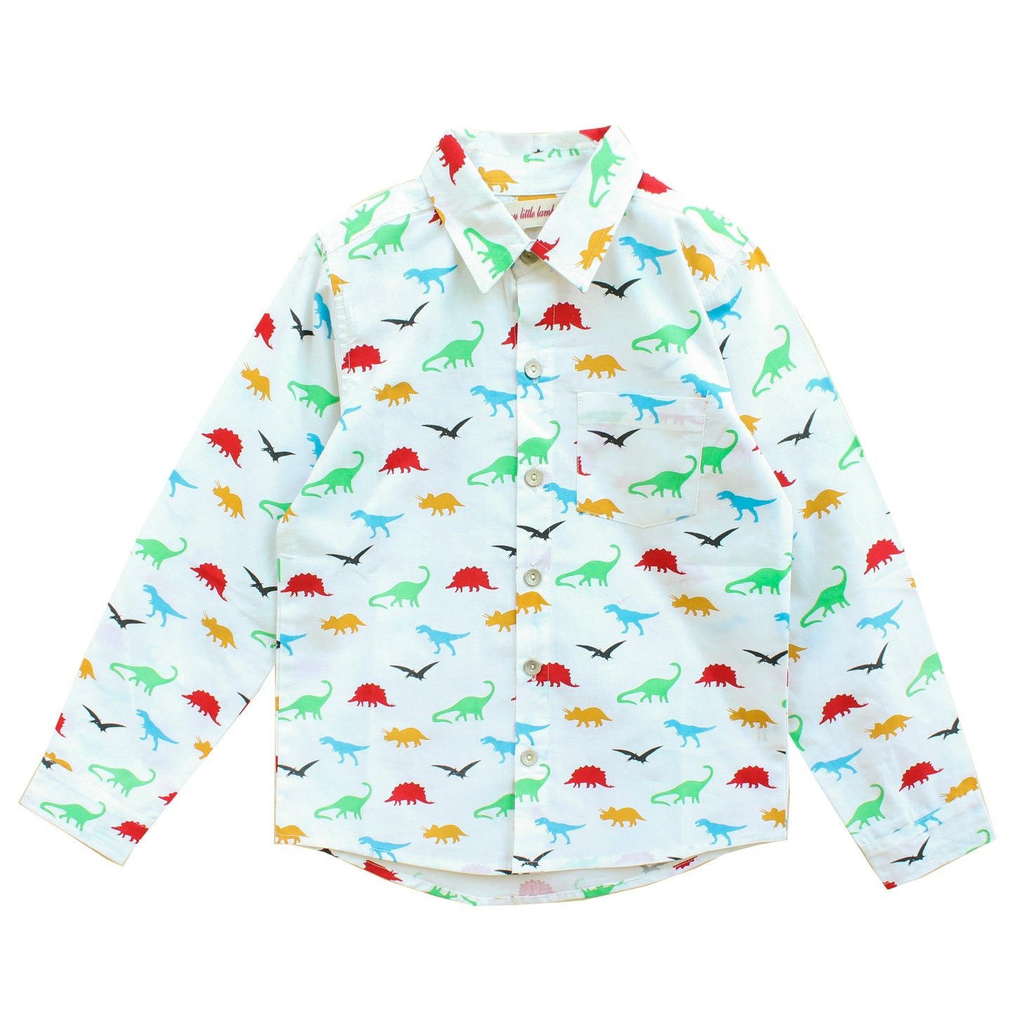 Printed Boy's Shirt Dino Multi