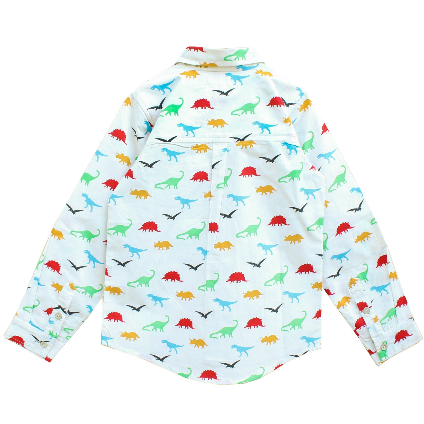 Printed Boy's Shirt Dino Multi